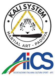 Kali System